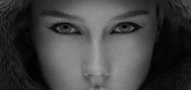 Bhartiya Fashion Case Study