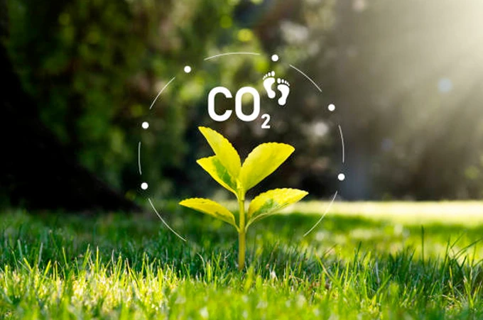 Carbon Footprint