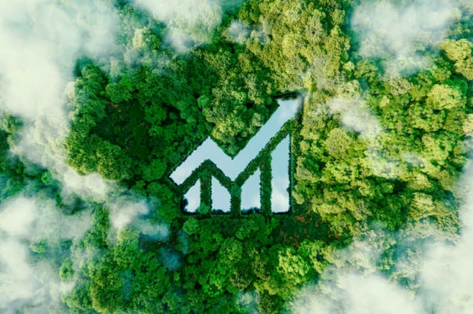 Path to Reduced Returns